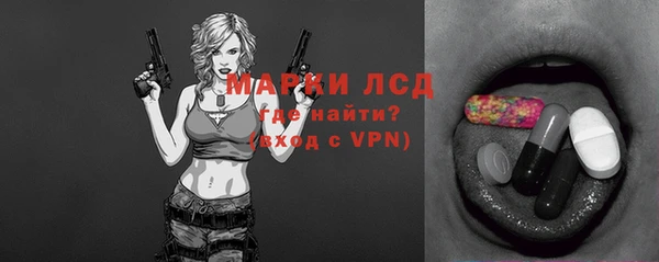 шишки Ельня