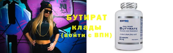 шишки Ельня