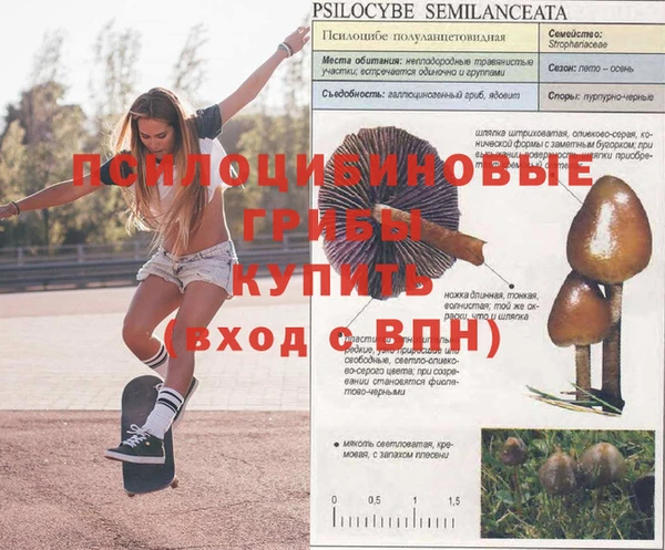 COCAINE Елабуга