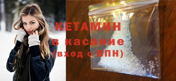 шишки Ельня