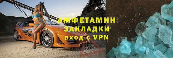 шишки Ельня
