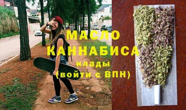 шишки Ельня