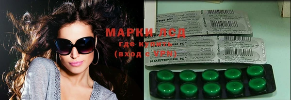 шишки Ельня